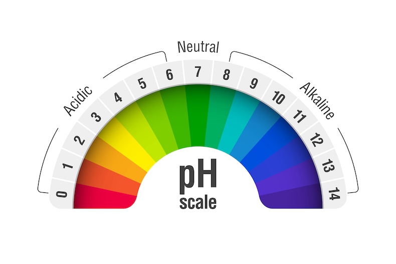 Die Bedeutung des pH-Werts für die Hautgesundheit pH-Wert Skala